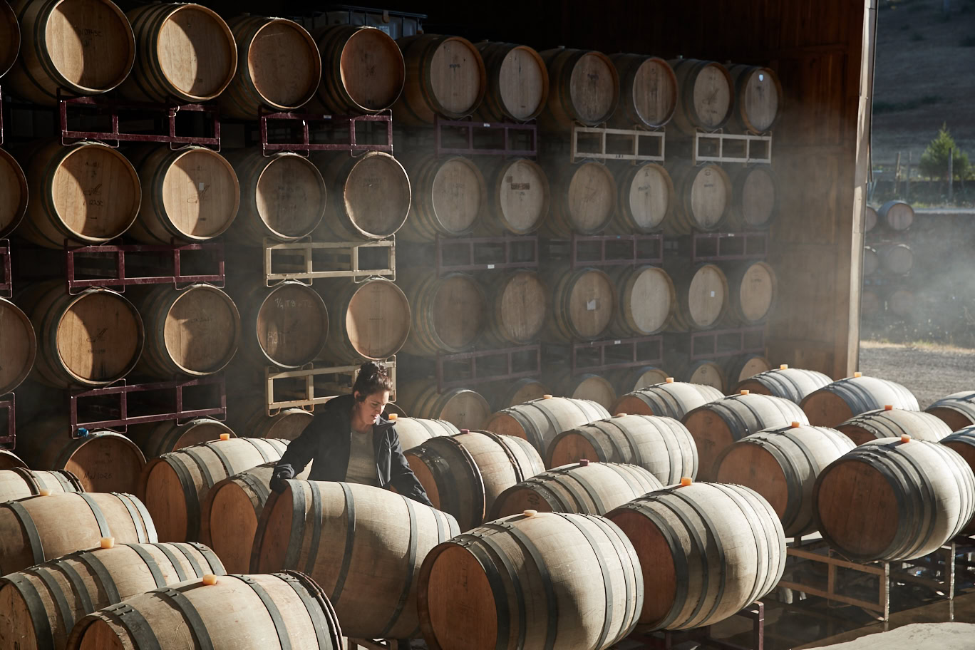 Winery cellar with stacked oak barrels and a worker inspecting them.