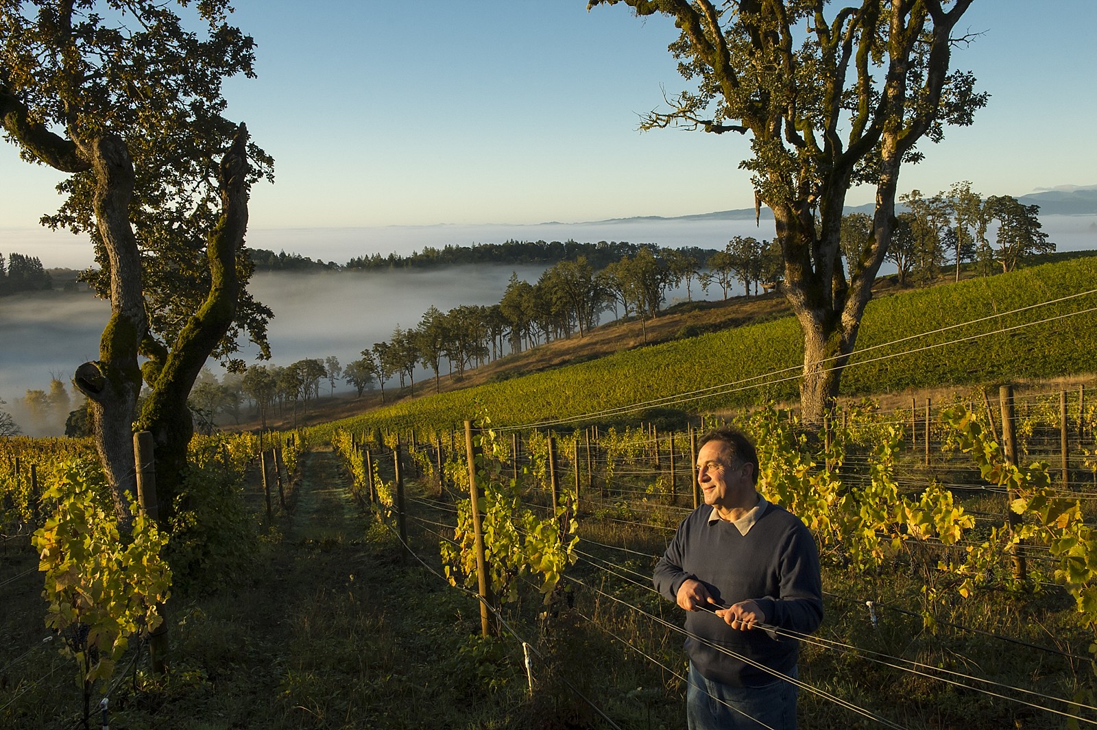 Man standing in a vineyard during sunset with rolling hills and trees in the background.